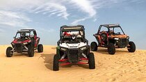 Premium Dubai Desert Safari (Full Package)