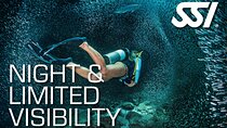 SSI Night Dive Specialty in Tenerife