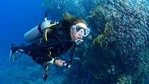SSI Open Water Diver Course in Tenerife