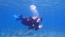 Dives Packages with Transfers in Tenerife