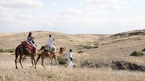 Agafay Desert & Atlas Mountains Day Tour with Camel Ride From Marrakech