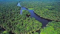 3-Day Tour in Tortuguero National Park with Pick Up