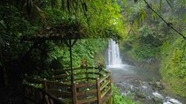 La Paz Waterfall Gardens and Tabacon Hot Springs Private Day Tour from San Jose 