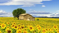Van Gogh's Provence & Les-Baux-de-Provence - Afternoon Tour