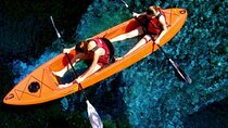Bioluminescent Clear Bottom Kayak or Paddleboard Sit-On-Top Kayak Hybrid Tour!