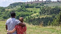 From Rome: Day Trip to Tuscany & Siena with lunch & Wine Tasting