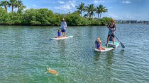 Paddle Boarding Eco Adventure Tour Jupiter Florida - Singer Island
