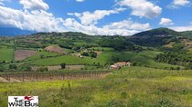 Private Irpinia Wine Tour from POSITANO, AMALFI or RAVELLO