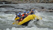 5-Days Private White Water Rafting and Trekking in Mgahinga Park