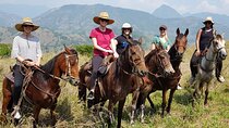 Private Horseback Riding Tour around Cattle Ranch from Medellin
