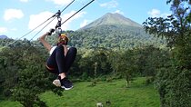 Zipline and Tarzang Swing Experience in San Carlos