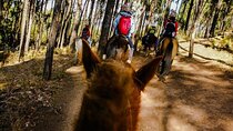 Horse Back Riding Cusco (Mistic Tour)