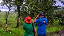 Birdwatching Walk from La Fortuna
