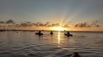 Sunset kayaking tour at Manatee Cove with Manatee & Dolphin sightings
