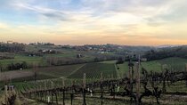 Food and Wine Tour on the Prosecco Hills from Venice
