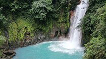  Premium Tour:Sloths and Río Celeste y Cortez Waterfalls (Tenorio Volcano Park)