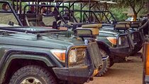 Safari Game Drive: Dinokeng Game Reserve