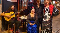 The Ultimate Flamenco Experience(class, tapas, show with artist)