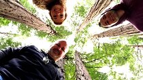 San Francisco & Muir Woods Full Day Small Group Private Tour