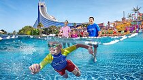 Dubai Wild Wadi Water Park