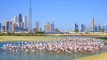 Charming Dubai City Tour with The View at The Palm - Scenic Tourist Attraction
