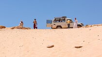 Full-Day Jeep Safari with Dinner from Marsa Alam
