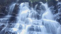 Trekking and Tegallalang Rice Terace Field Including Cascade Waterfall Tour