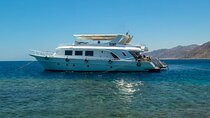 Private Boat Hire in Sharm El Sheikh