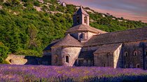 Lavender Route - Small-Group Day Trip from Avignon