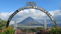 Mistico Hanging Bridges Guided Tour (AM-PM) with Transportation
