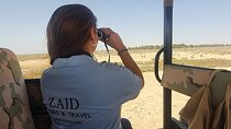 Private Tour of Desert Castles Eastern Jordan with optional Azraq Wetland Visit