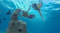 Cancun Snorkeling Tour: Swim with Turtles, Reef, Underwater Museum and Shipwreck