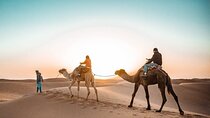 7 days 6 nights desert tour from marrakech 