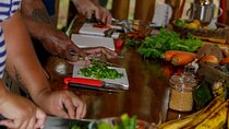 Cooking Class in Manuel Antonio with Medicinal Plants Garden Visit