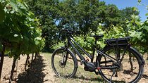 Full day E-Bike rental in the Luberon