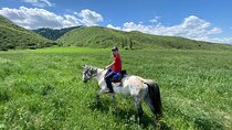 A superb horse riding in Chon Kemin valley, 1 day