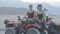 Sinai Desert Adventure Quad Bikes/ATV & Family Car Buggy 