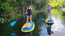 Florida Freshwater Springs Paddle Board Tour