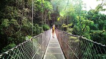 Combo: Day Trip to Hanging Bridges + ZipLine in Monteverde