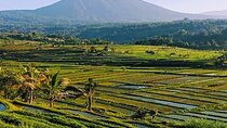 Magical Full Day Trip Jatiluwih Rice Terrace And Beratan Temple