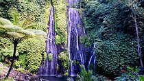 Trip to Paradise in Bali Banyumala Waterfall And Twin Lake
