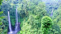 Private Tour The Magical Sekumpul Waterfall in The North of Bali