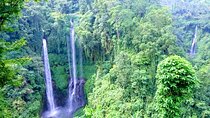 Private Tour Explore Marvelous Sekumpul Waterfall 