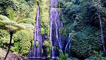 Wonderful Trip to Bali Paradise at Banyumala Waterfall