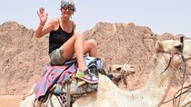 Sharm El Sheikh Desert Adventure Quad Biking & Camel Riding