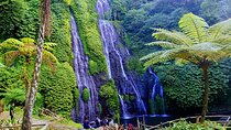 Wonderful Trip to Bali Paradise Banyumala Waterfall And Twin Lake