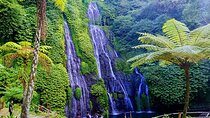 Special Private Tour Bayumala Waterfall, and Bedugul