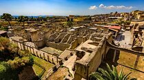 Herculaneum ruins and Naples Center Full Day Private Tour From Rome