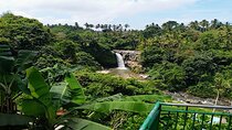 Private Tours Tegenungan Waterfall Ubud Palace & Market