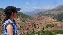 Atlas Mountains and Camel Ride day trip